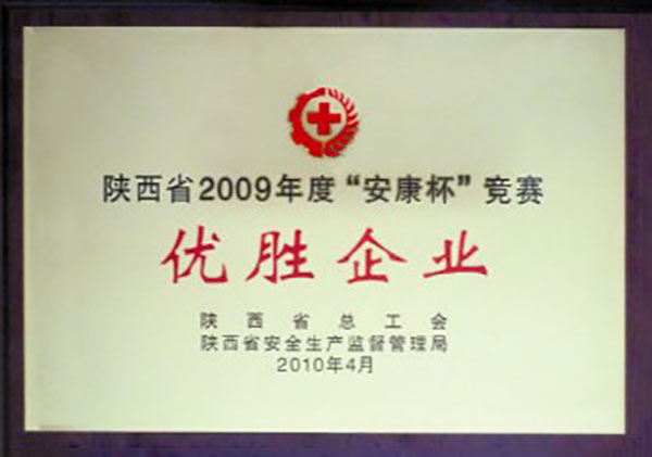陜西2009年度“安康杯”競賽優勝企業